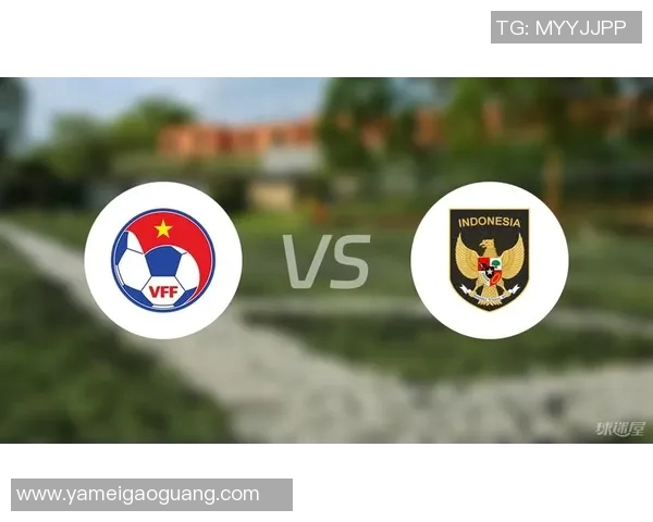 球迷热议越南足球明星表现与未来发展潜力分析