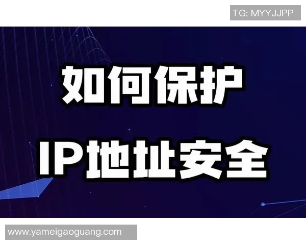 篮球明星IP地址查询的秘密揭示与网络安全防护建议